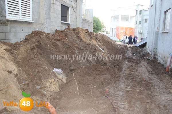 modahama lud 0216 (31).JPG